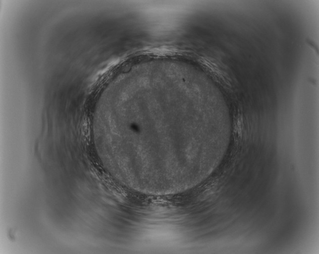 X0000102361398200808221705