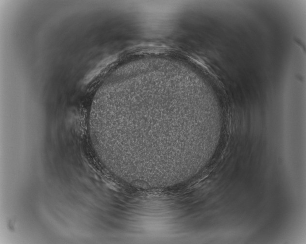 X0000102361399200808221705