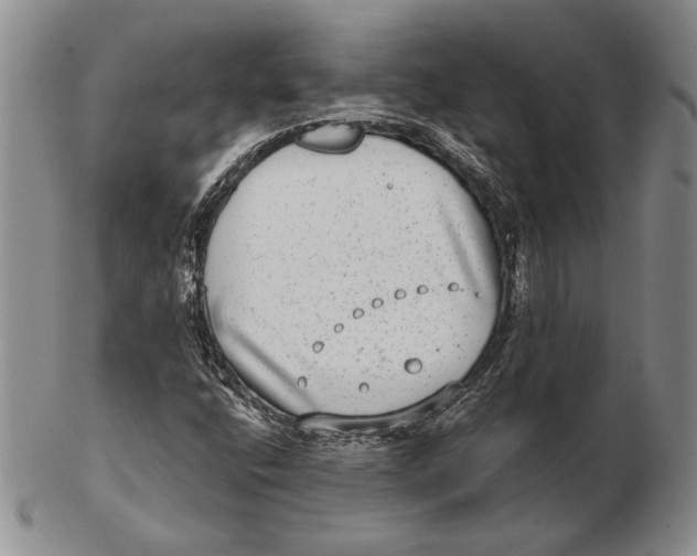 X0000102361400200808221705