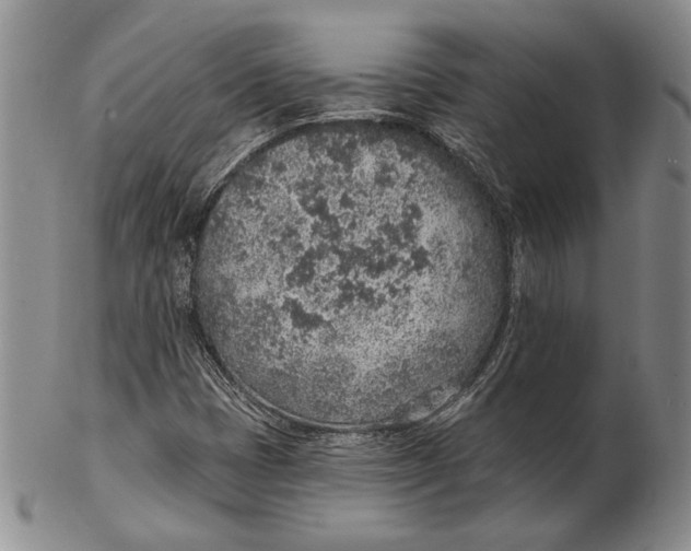 X0000102361401200808221705