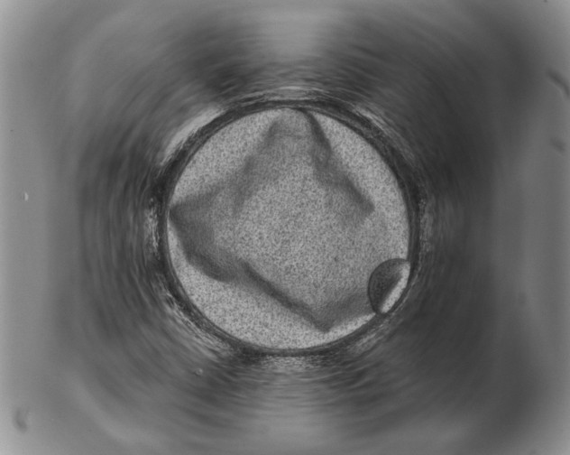 X0000102361402200808221705