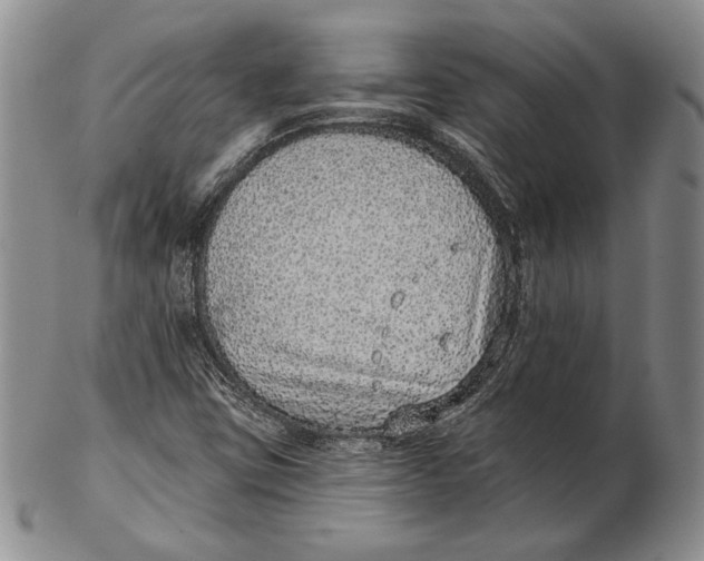 X0000102361403200808221705