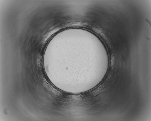 X0000102361404200808221705