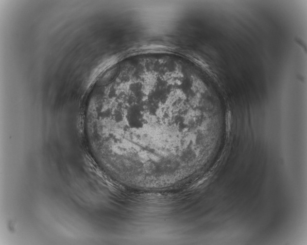 X0000102361405200808221705