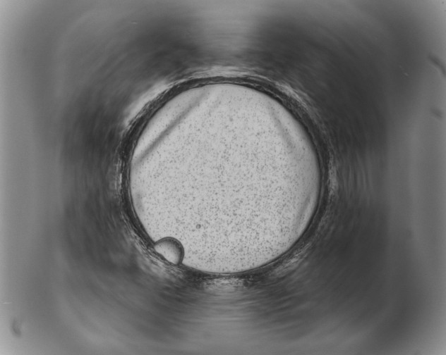 X0000102361406200808221705