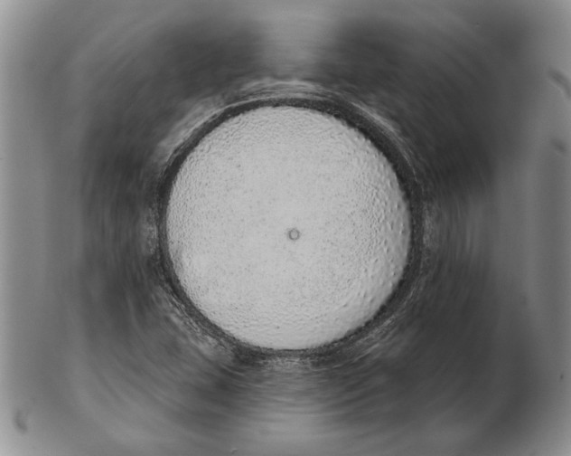 X0000102361407200808221705