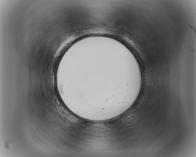 X0000102361408200808221705