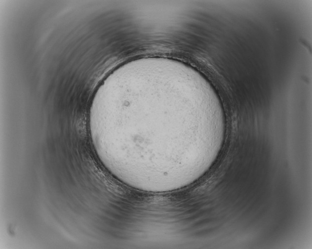 X0000102361409200808221705