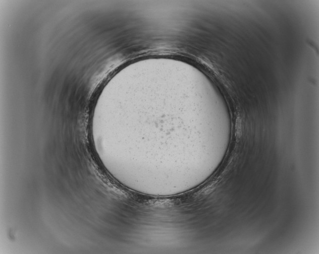 X0000102361410200808221705