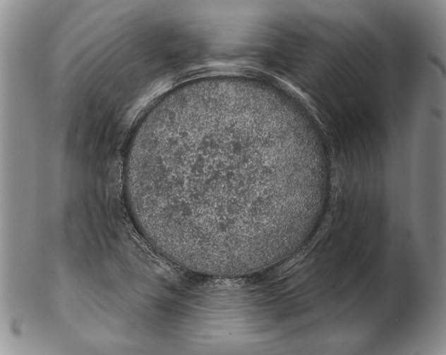 X0000102361411200808221705