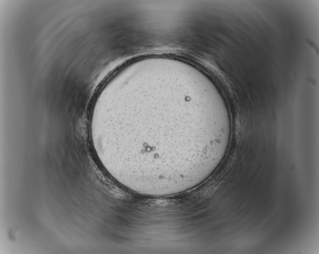 X0000102361412200808221705