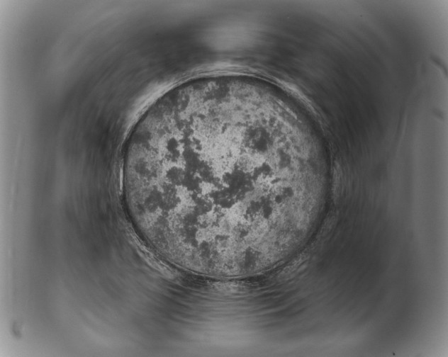 X0000102361413200808221706