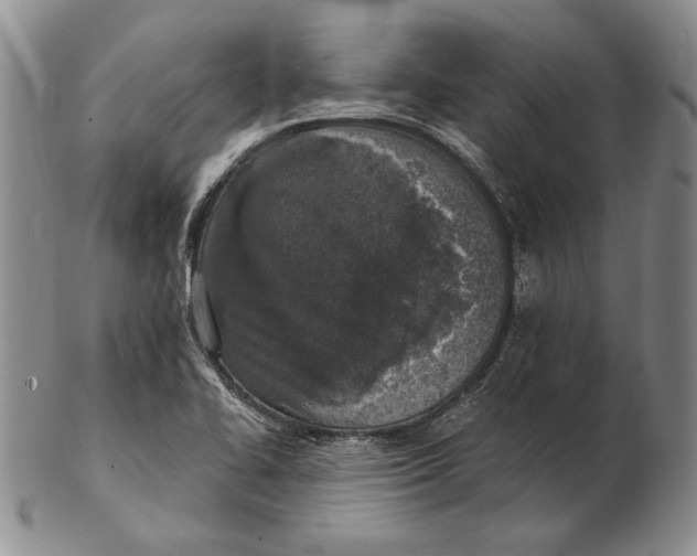 X0000102361414200808221706