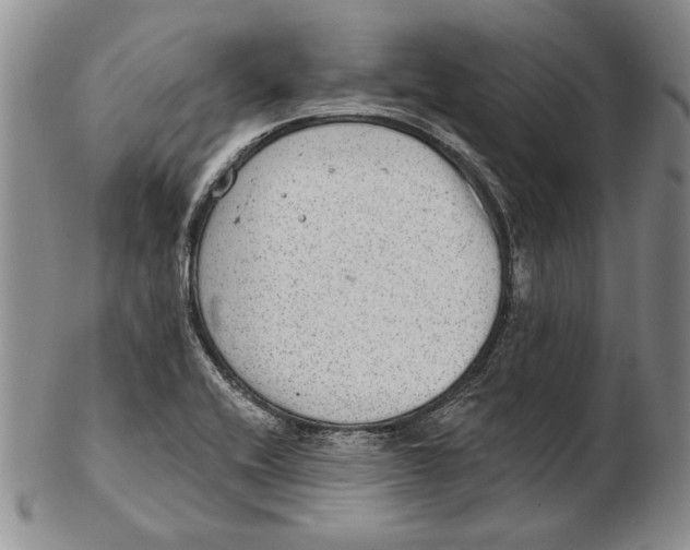 X0000102361416200808221706