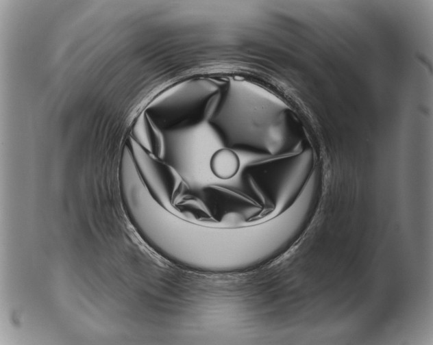 X0000102361417200808221706