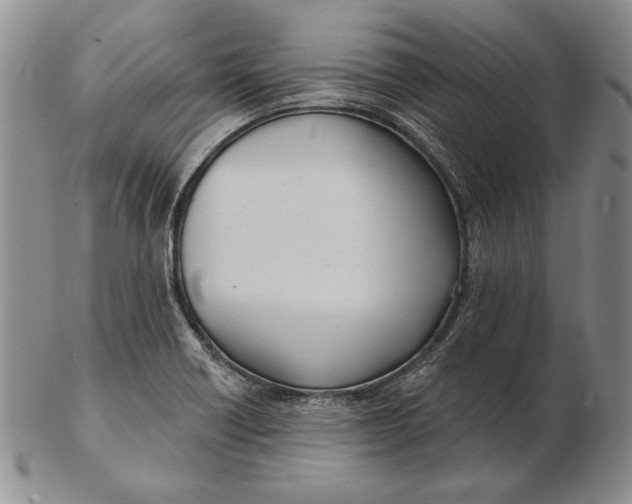 X0000102361418200808221706