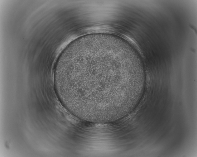 X0000102361419200808221706