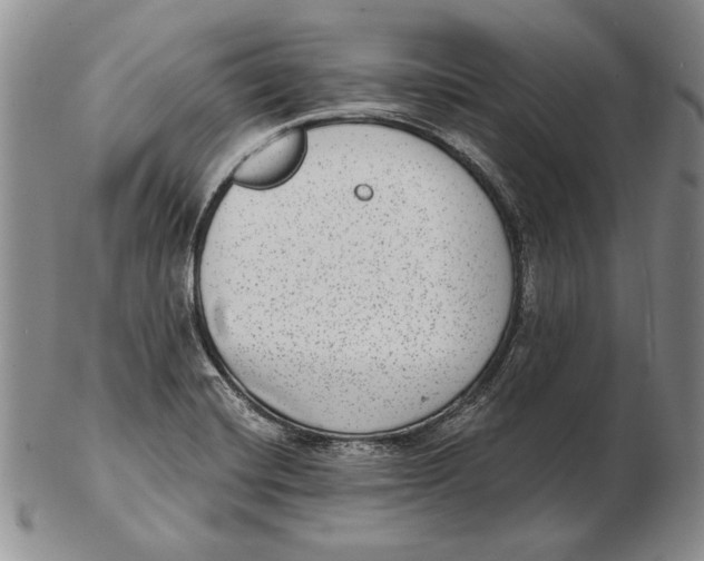 X0000102361420200808221706