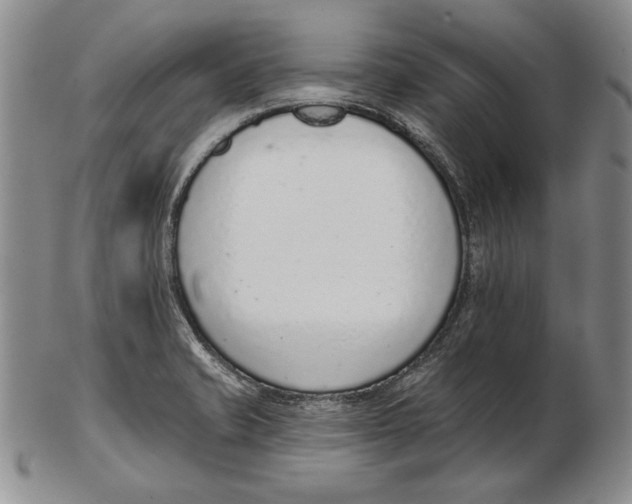 X0000102361421200808221706