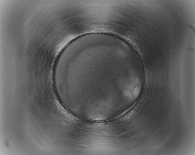 X0000102361422200808221706