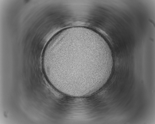 X0000102361423200808221706