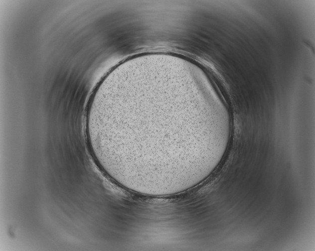 X0000102361424200808221706