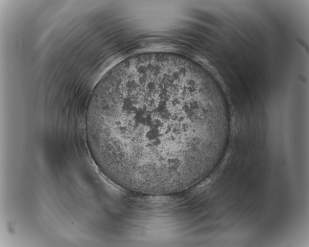 X0000102361425200808221706