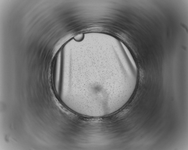 X0000102361426200808221706