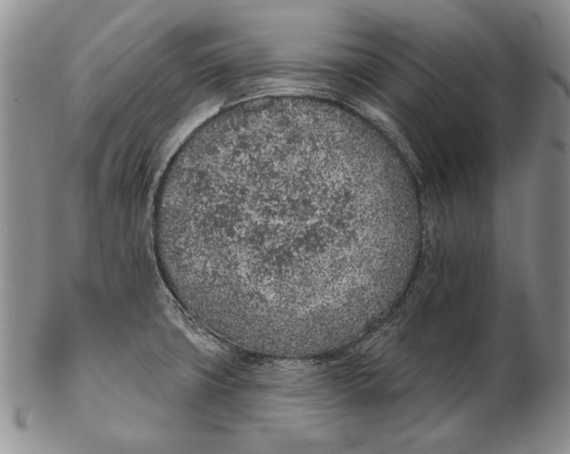 X0000102361427200808221706