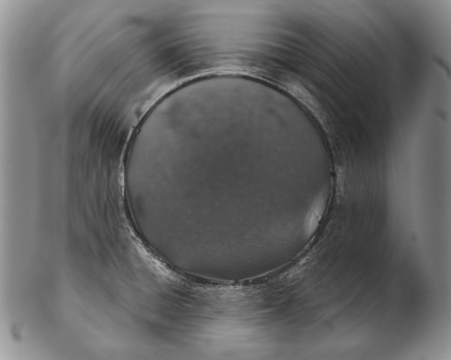 X0000102361428200808221706