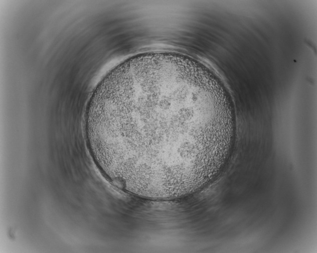 X0000102361429200808221706