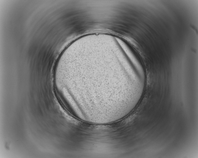 X0000102361430200808221706