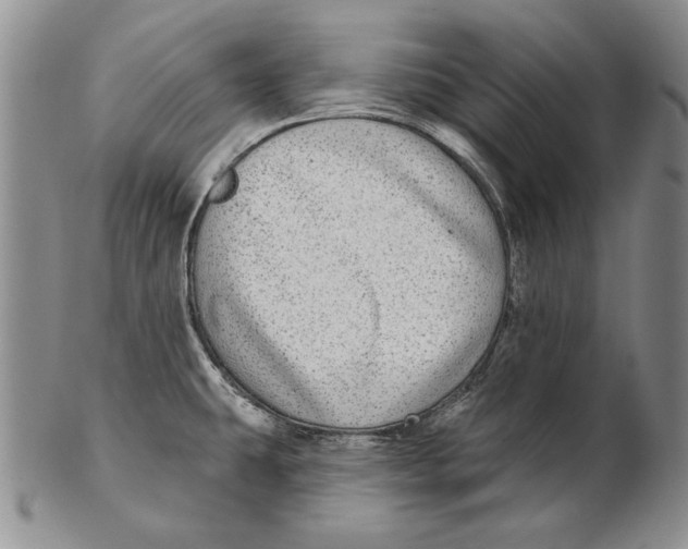 X0000102361431200808221706