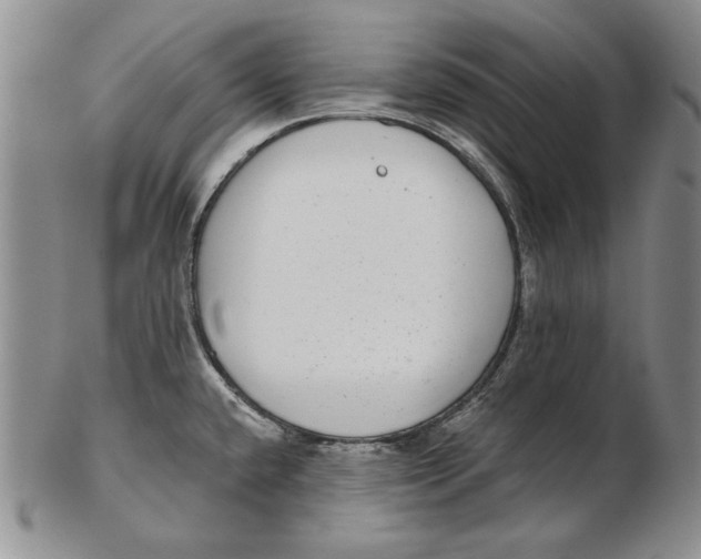 X0000102361432200808221706