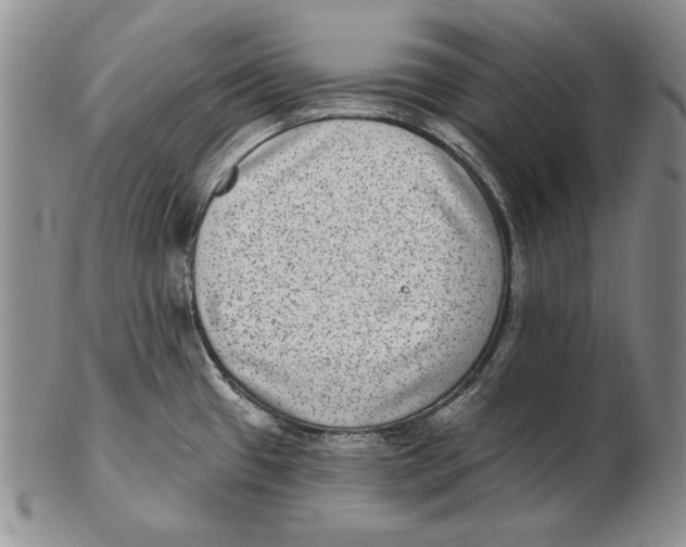 X0000102361433200808221706