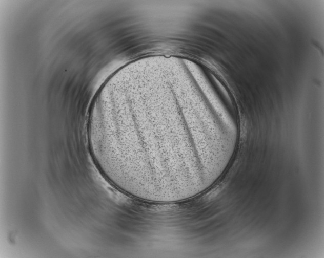 X0000102361434200808221706