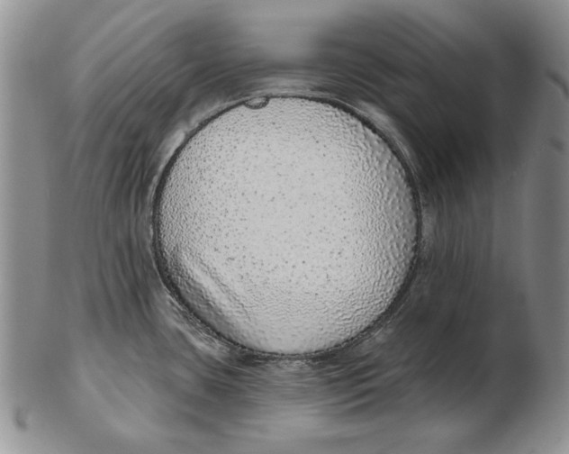 X0000102361435200808221706