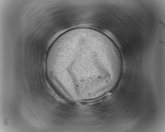 X0000102361436200808221706