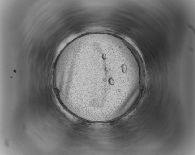 X0000102361437200808221706