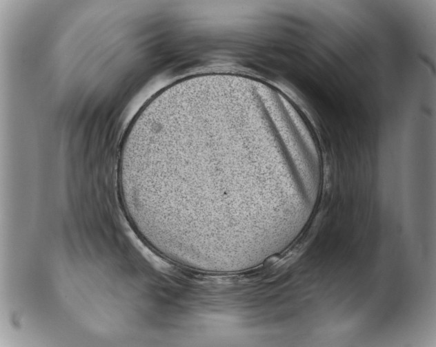 X0000102361438200808221706