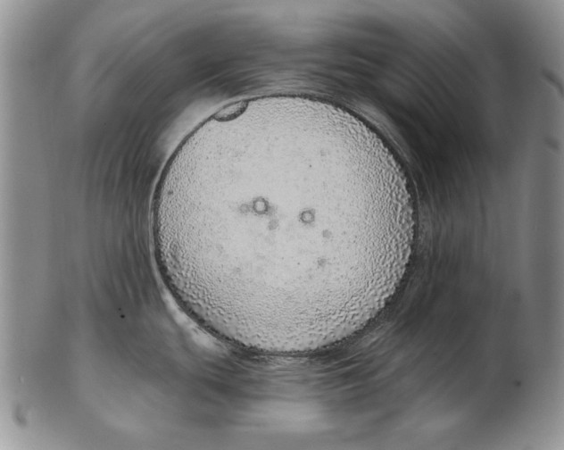 X0000102361439200808221706