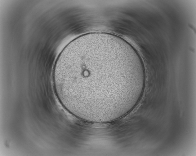 X0000102361440200808221706