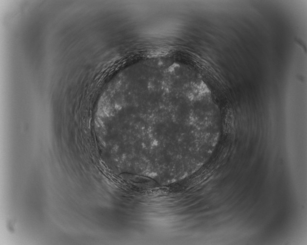 X0000102361441200808221705