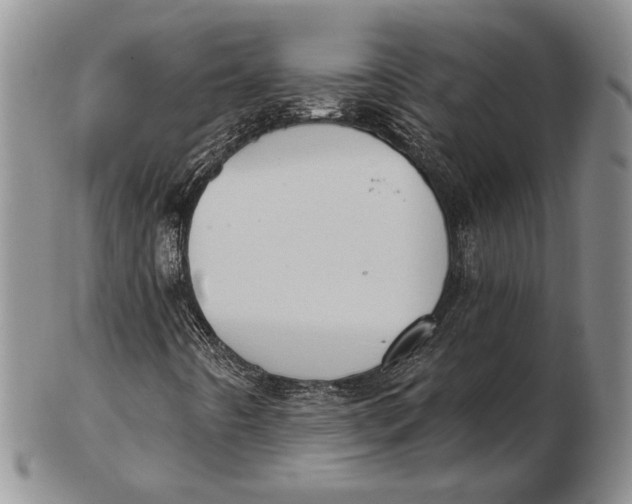 X0000102361442200808221705