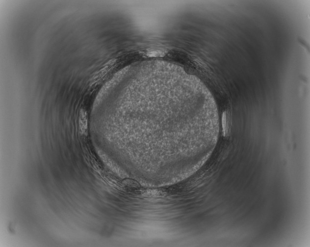 X0000102361443200808221705