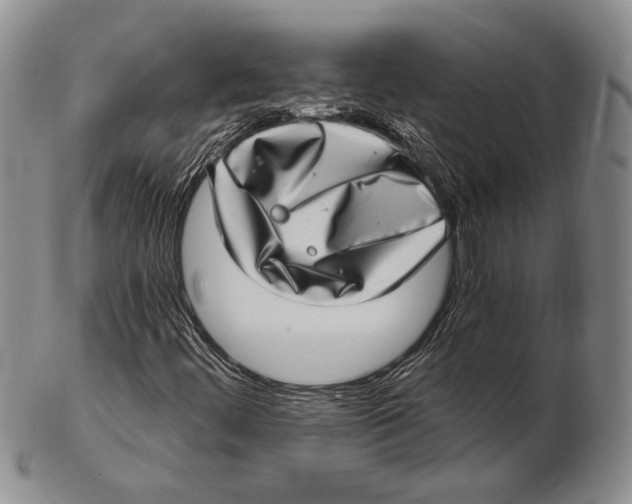 X0000102361444200808221705