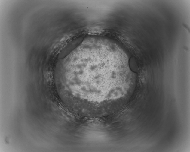 X0000102361445200808221705