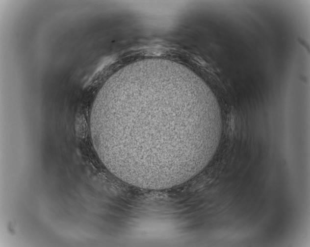 X0000102361446200808221705