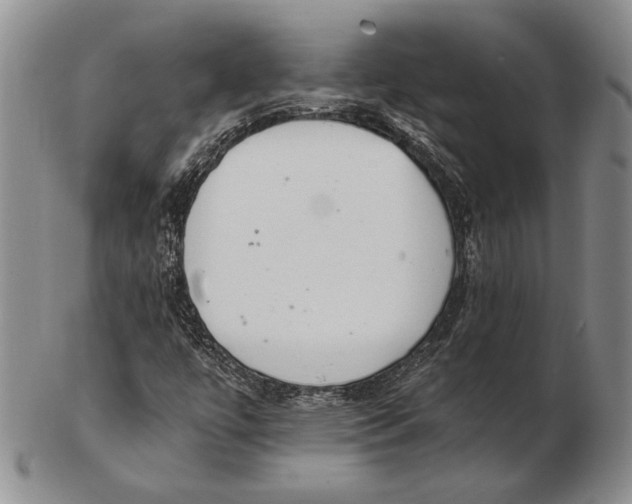 X0000102361447200808221705