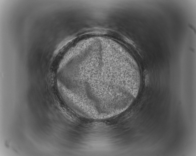 X0000102361448200808221705